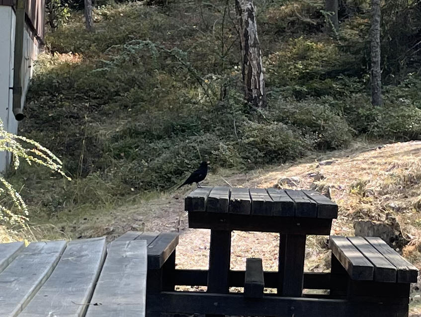 foto Per Rödseth