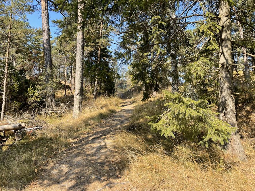 foto Per Rödseth
