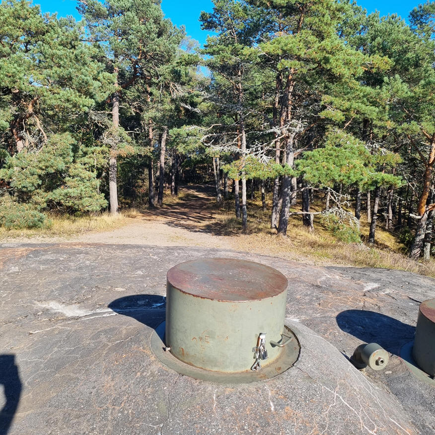 foto Robert Hedman