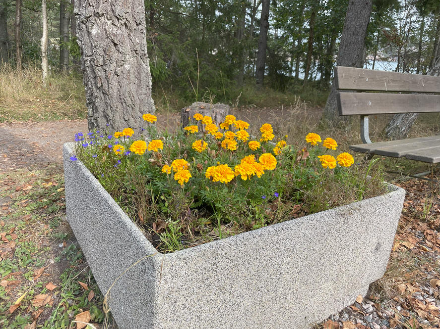 foto Per Rödseth