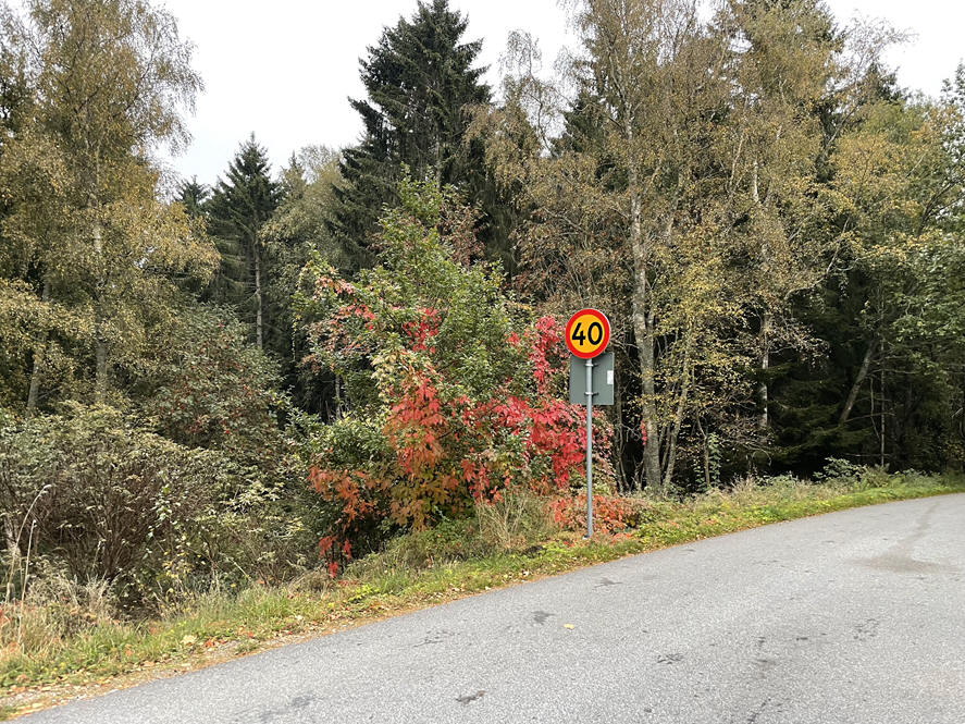 foto Per Rödseth