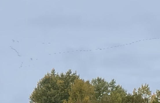 foto Per Rödseth