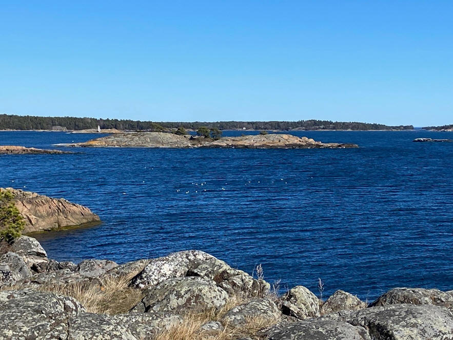foto Karin Henriksson