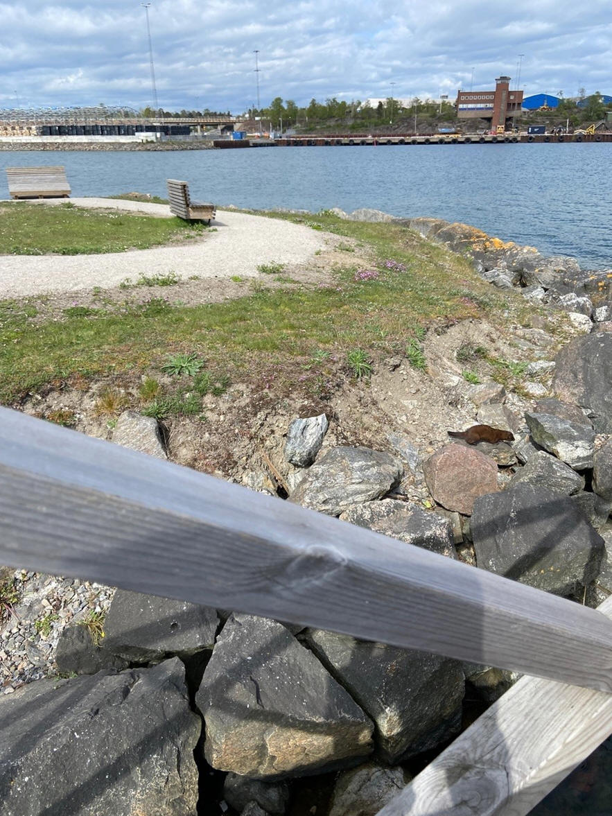 foto Karin Henriksson