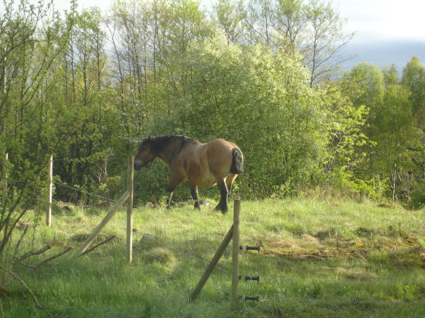 foto Per Rödseth