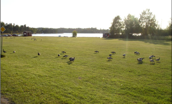 foto Per Rödseth