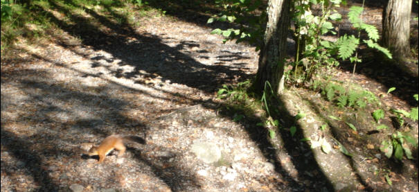 foto Per Rödseth
