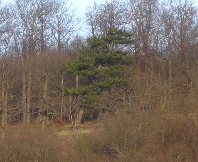 foto Per Rödseth