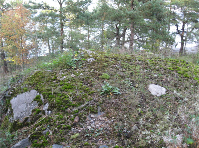 foto Per Rödseth