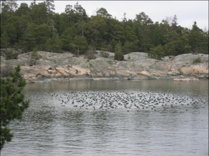 foto Per Rödseth