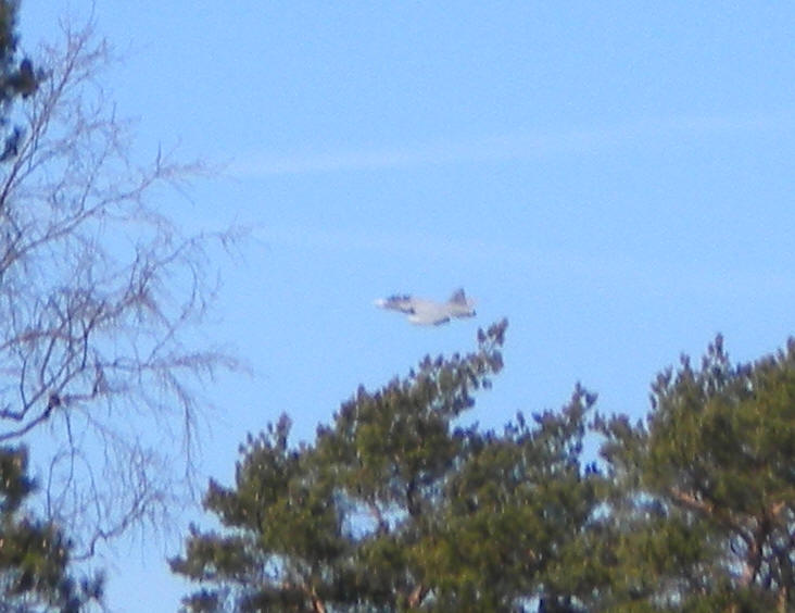 foto Per Rödseth