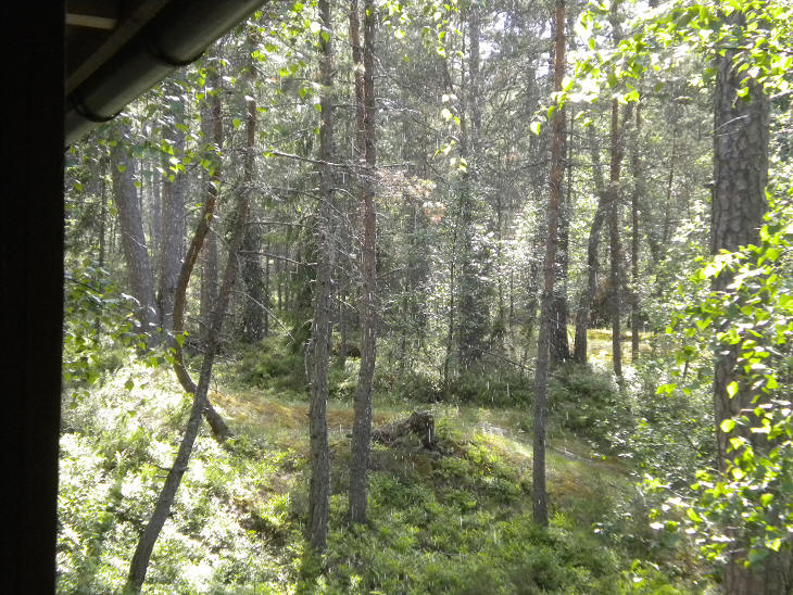 foto Per Rödseth