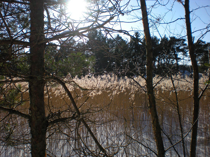 foto Per Rödseth