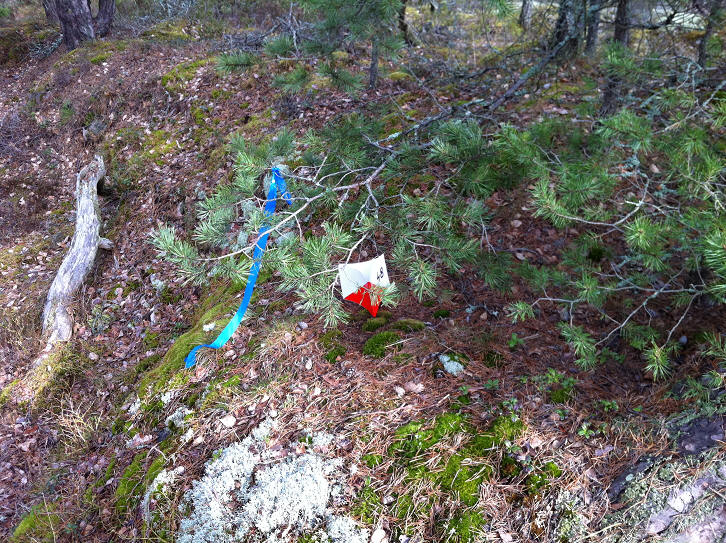foto Per Rödseth