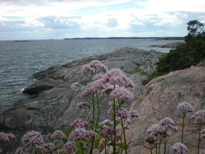 foto Per Rödseth