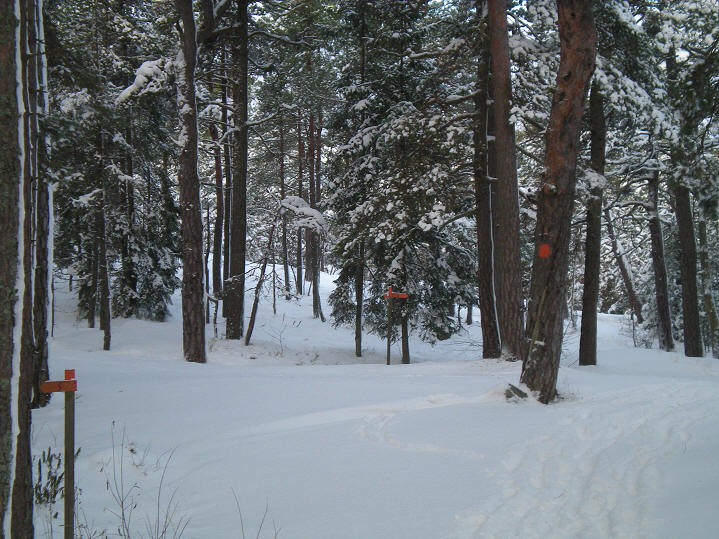 foto Per Rödseth