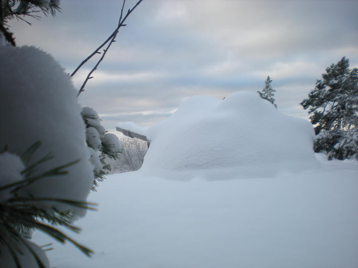 foto Per Rödseth