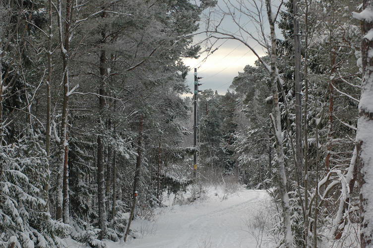 foto Per Rödseth