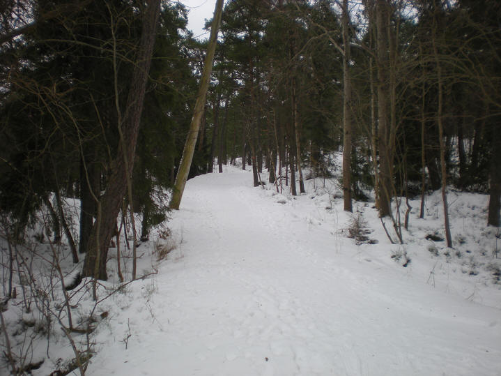 foto Per Rödseth
