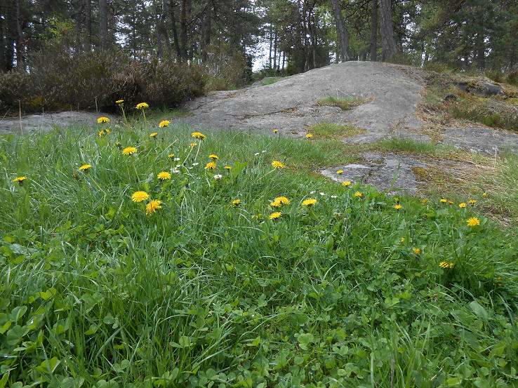 foto Per Rödseth