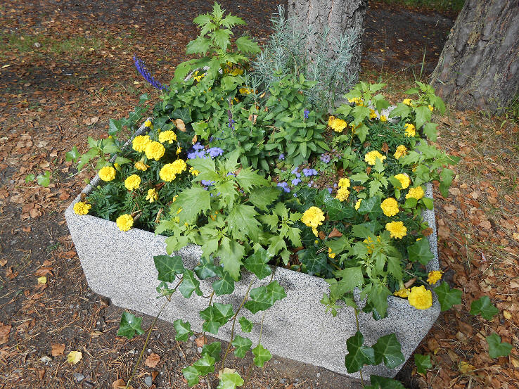 foto Per Rödseth