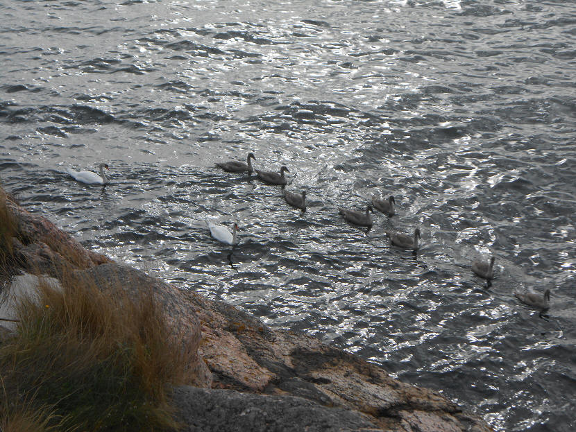 foto Per Rödseth