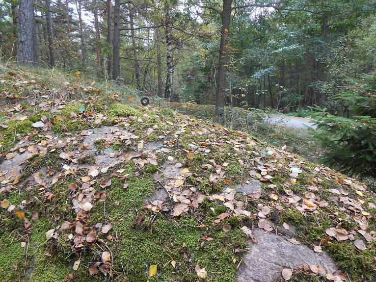 foto Per Rödseth