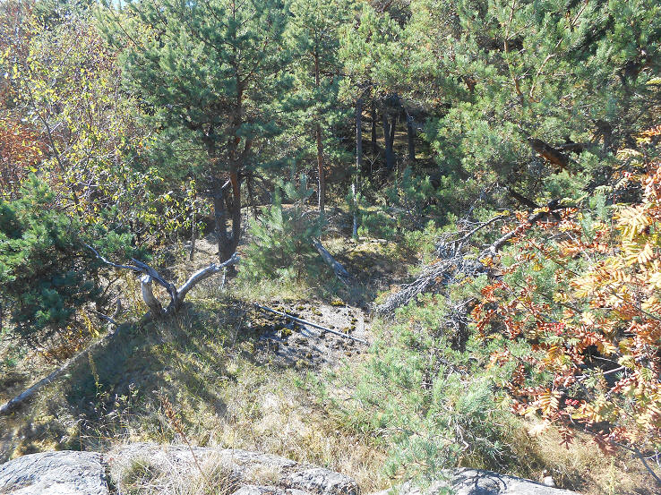 foto Per Rödseth