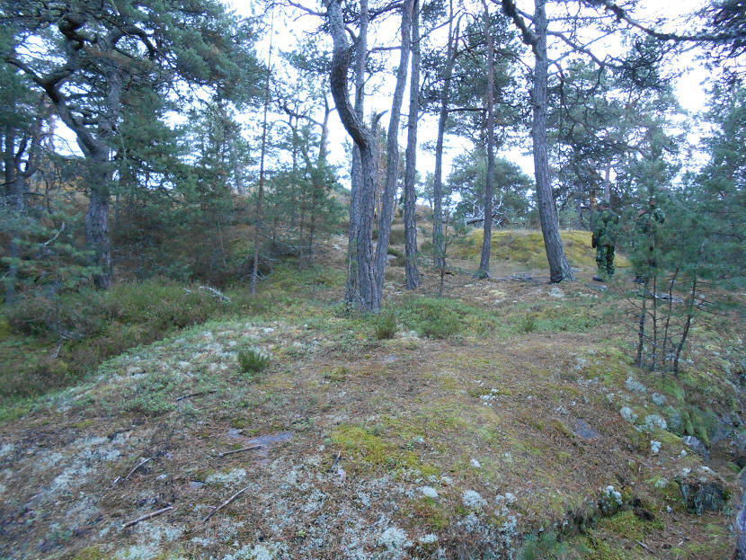 foto Per Rödseth