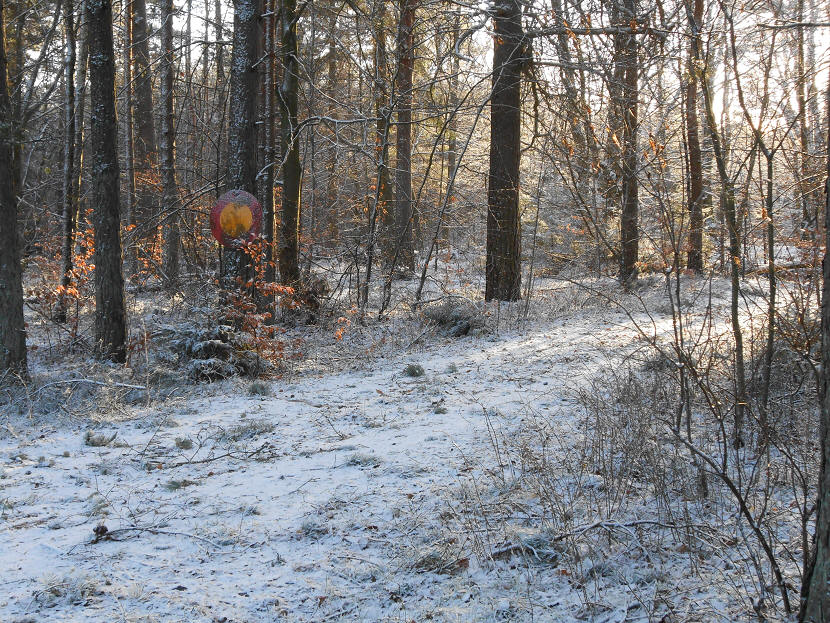 foto Per Rödseth