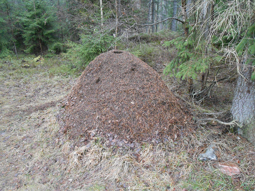 foto Per Rödseth