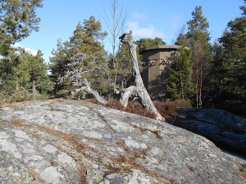 foto Per Rödseth