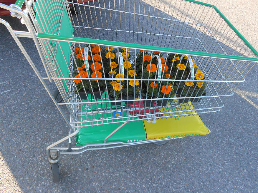 foto Per Rödseth