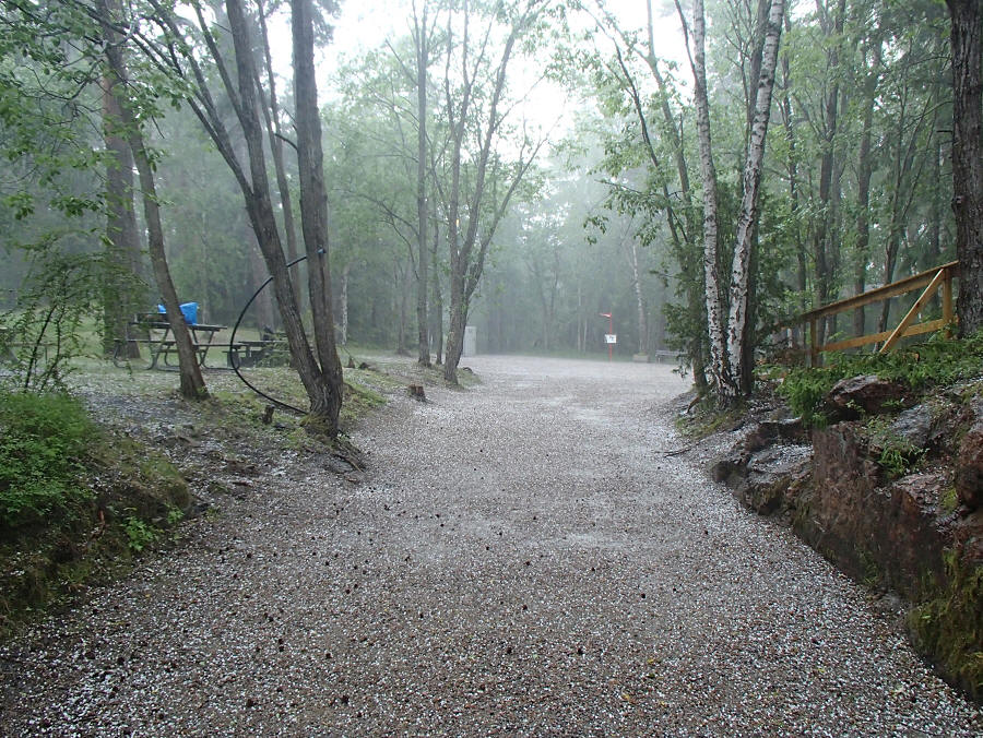 foto Erik Barkefors