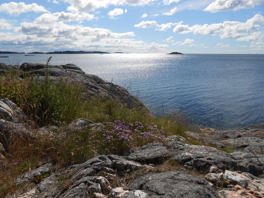 foto Per Rödseth