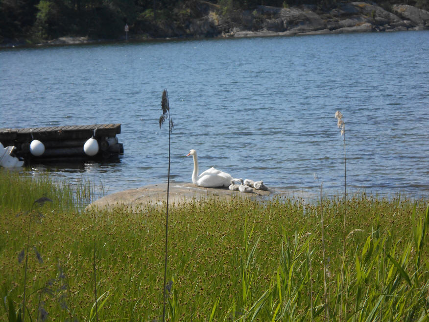 foto Per Rödseth