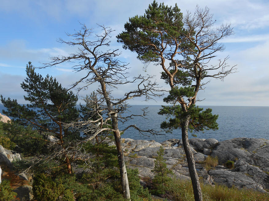 foto Per Rödseth