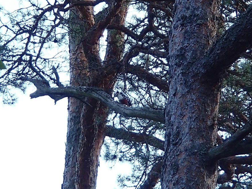 foto Erik Barkefors