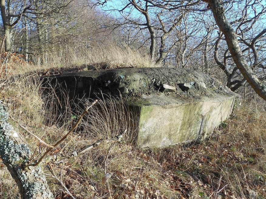 foto Per Rödseth