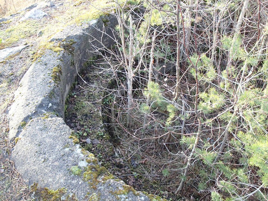 foto Erik Barkefors