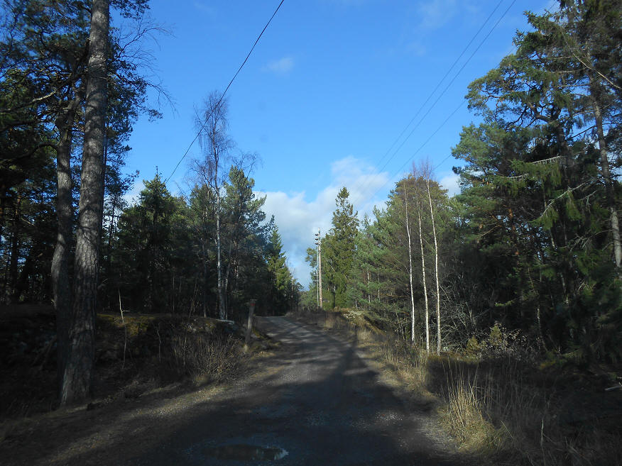 foto Per Rödseth