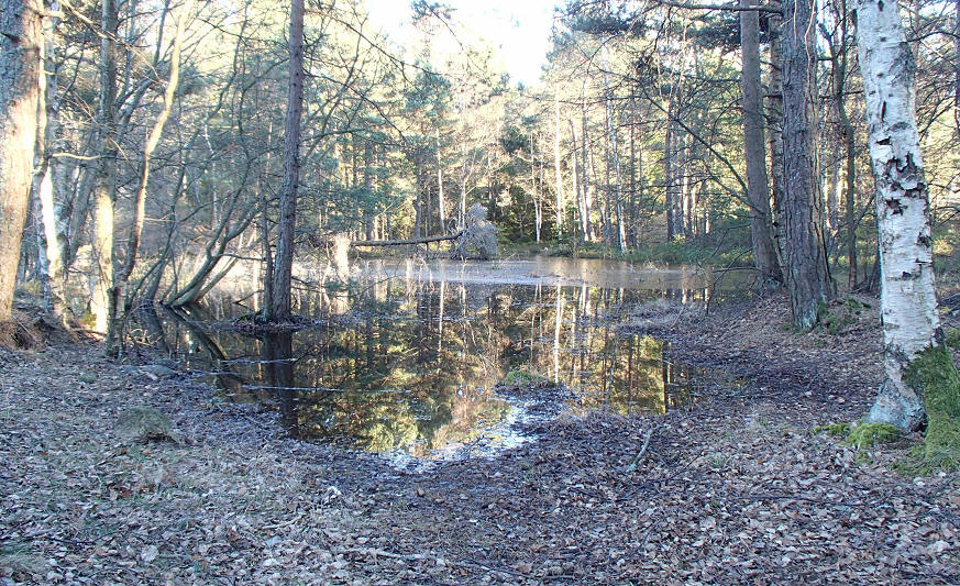 foto Erik Barkefors