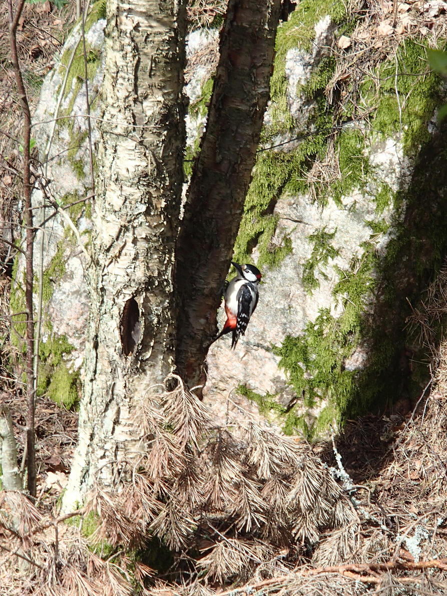 foto Erik Barkefors
