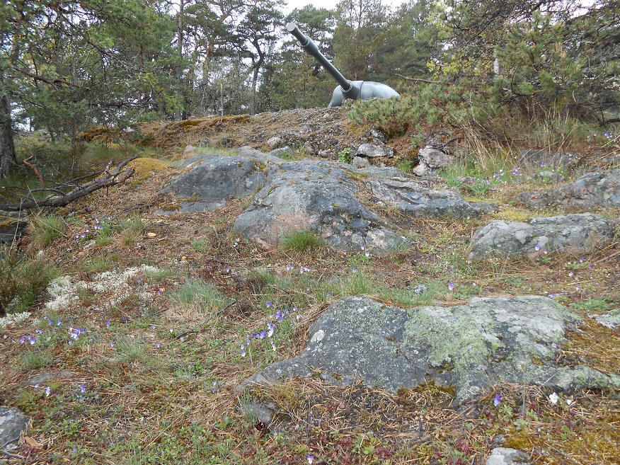 foto Per Rödseth