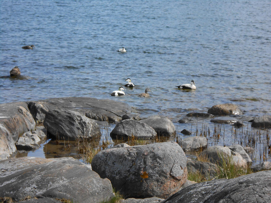 foto Per Rödseth