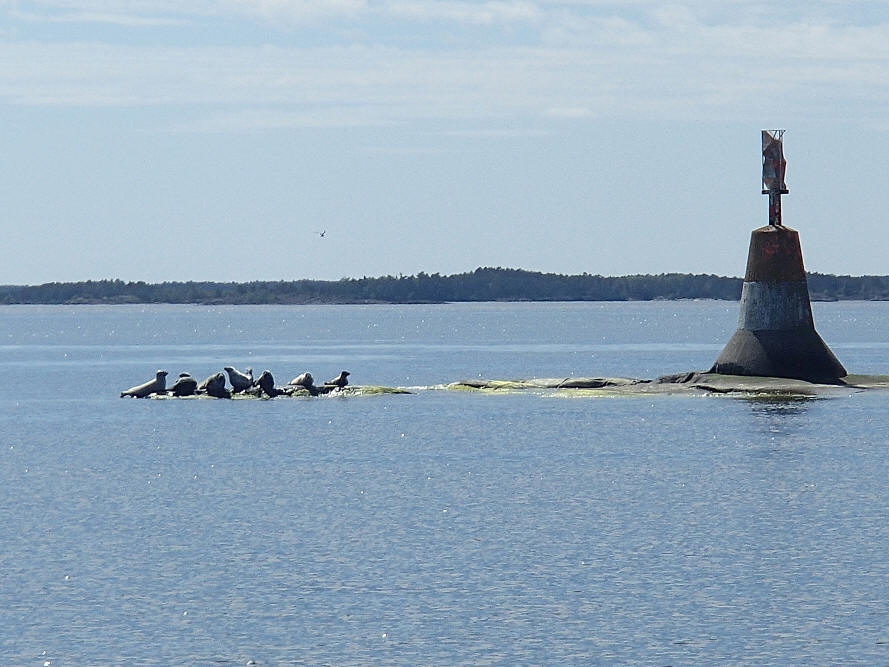 foto Erik Barkefors