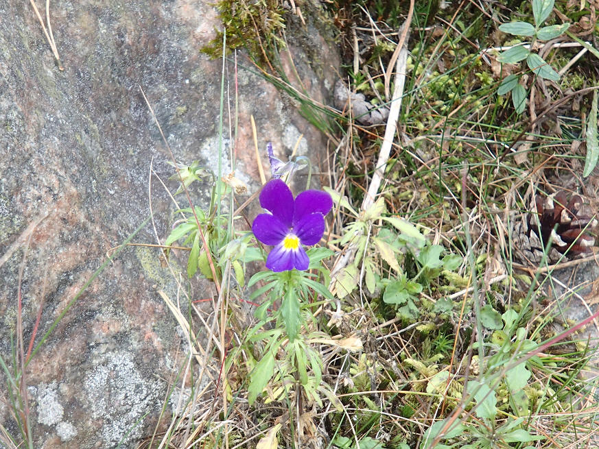 foto Erik Barkefors