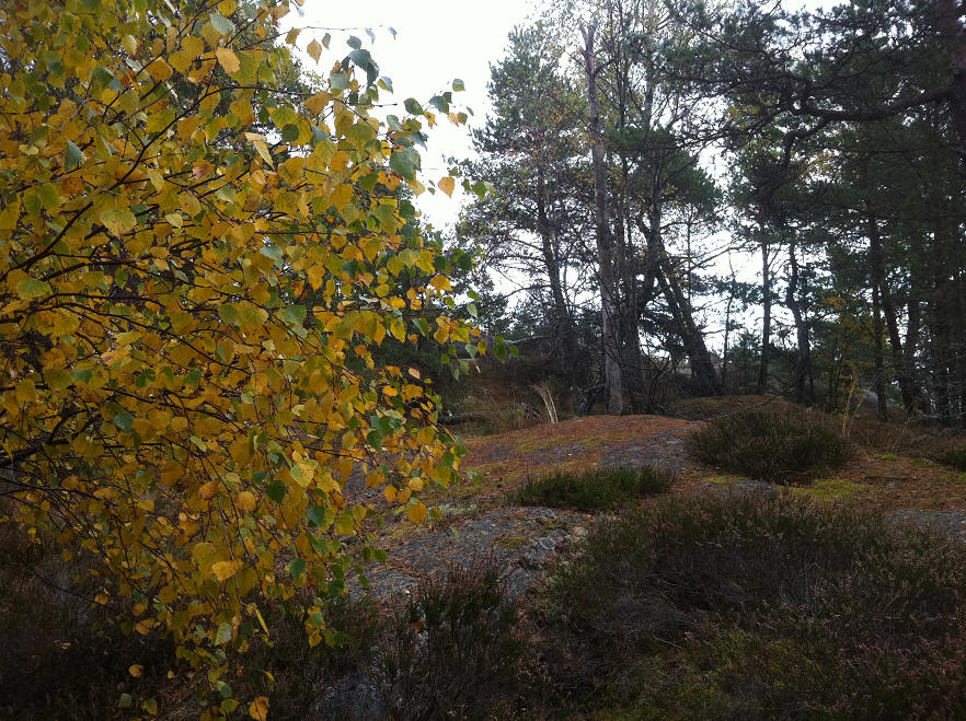 foto Per Rödseth