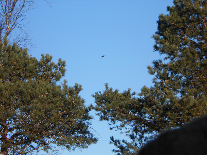 foto Per Rödseth