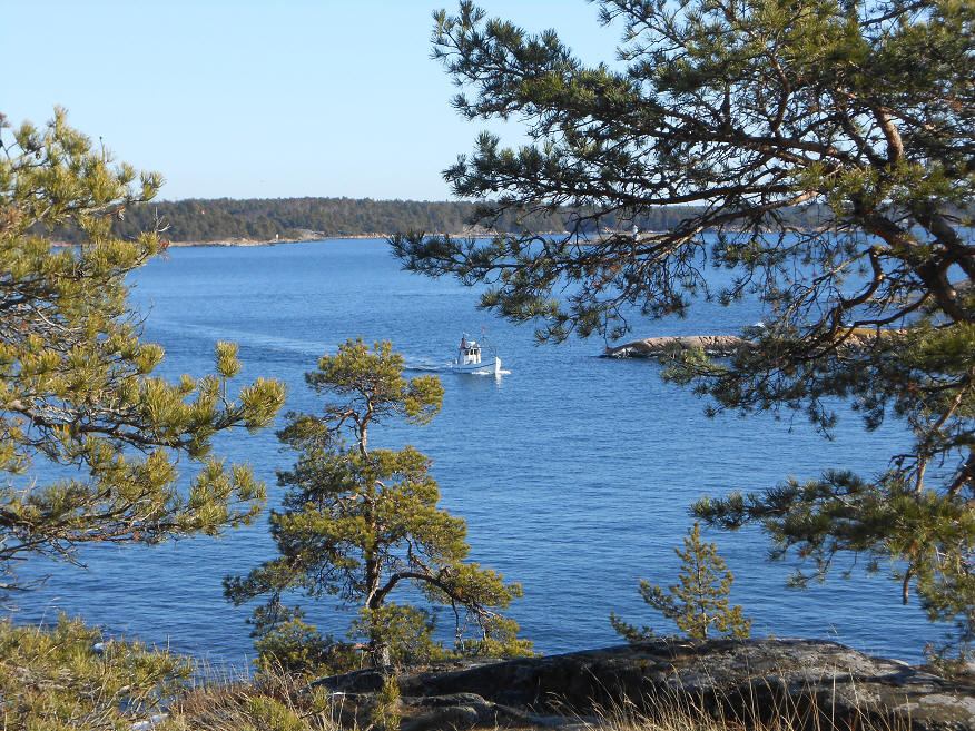 foto Per Rödseth
